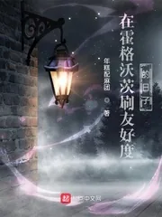 《在霍格沃茨刷友好度的日子》小说封面