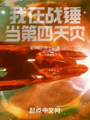 《我在战锤当第四天灾》小说封面