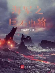《海军之巨石中将》小说封面