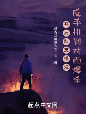 《开局队友摆烂,反手排到对面爆杀》小说封面