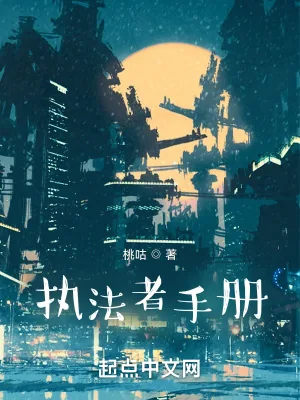 《执法者手册》小说封面