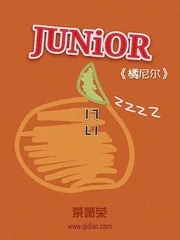 《橘尼尔》小说封面