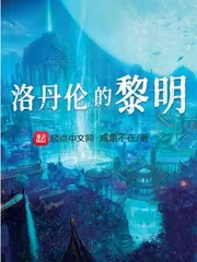《洛丹伦的黎明》小说封面
