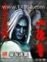 《亡灵法师山德鲁》小说封面