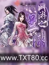 《网游之兰湖》小说封面