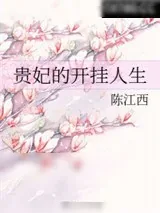 《贵妃的开挂人生》小说封面