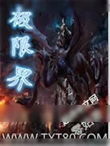 《极限界》小说封面