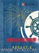 《暗黑之火系大法师》小说封面