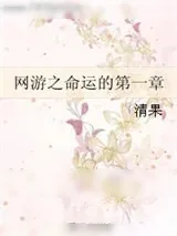《网游之命运的第一章》小说封面