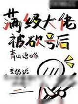 《满级大佬被砍号后》小说封面