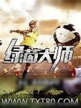 《绿茵大师》小说封面