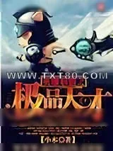 《英雄联盟之极品天才》小说封面