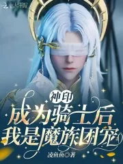 《神印:成为骑士后,我是魔族团宠》小说封面