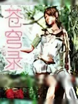 《苍穹》小说封面