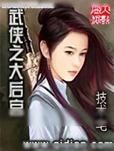 《武侠之大后宫》小说封面