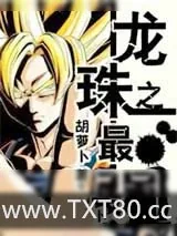 《龙珠之最强》小说封面