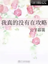 《我真的没有在攻略》小说封面