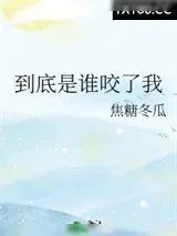 《到底是谁咬了我》小说封面