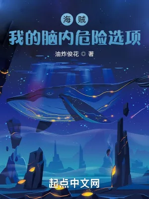 《海贼:我的脑内危险选项》小说封面