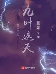 《完美之九叶遮天》小说封面