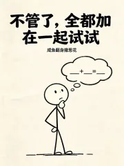 《不管了，全都加在一起试试》小说封面