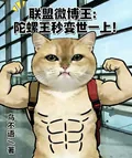 《联盟微博王:陀螺王秒变世一上!》小说封面