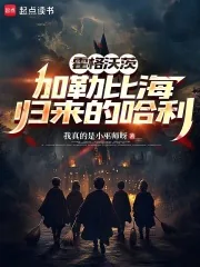 《霍格沃茨:加勒比海归来的哈利》小说封面