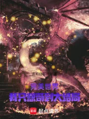 《完美世界:吾乃世界之主》小说封面