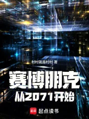 《赛博朋克:从2071开始》小说封面