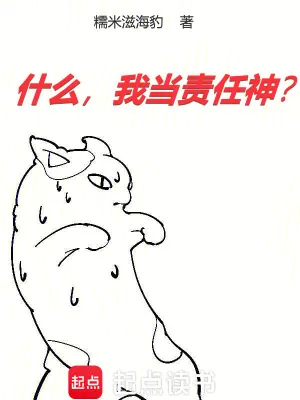 《什么，我当责任神？》小说封面