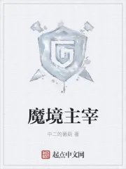 《魔境主宰》小说封面