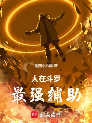 《人在斗罗，最强辅助》小说封面