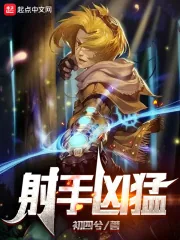 《射手凶猛》小说封面