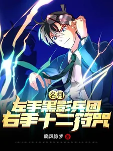 《名柯:左手黑影兵团右手十二符咒》小说封面