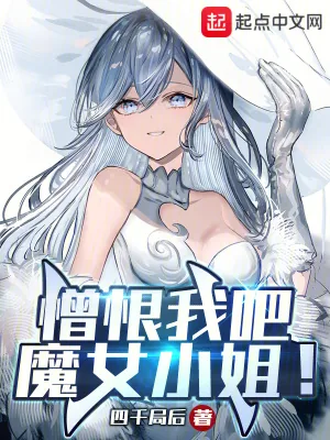 《憎恨我吧,魔女小姐!》小说封面