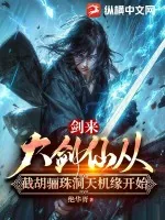 《剑来:大剑仙从截胡骊珠洞天机缘开始》小说封面