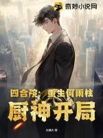 《四合院：重生何雨柱，厨神开局》小说封面