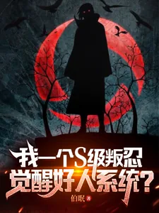 《我一个S级叛忍，觉醒好人系统？》小说封面