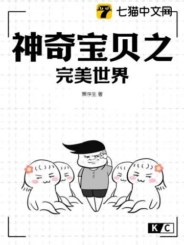 《神奇宝贝之完美世界》小说封面