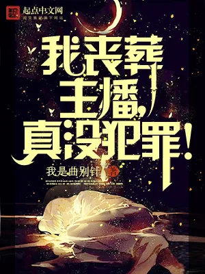 《我丧葬主播，真没有犯罪！》小说封面