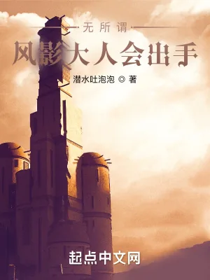《无所谓,风影大人会出手》小说封面