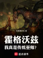 《霍格沃兹:我真是传统巫师?》小说封面