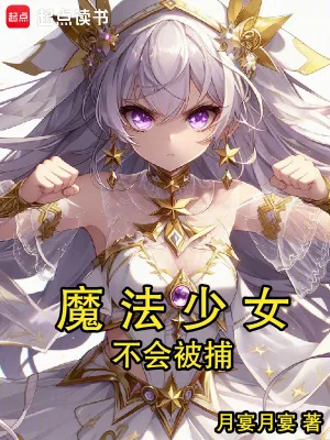 《魔法少女不会被捕》小说封面